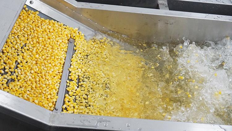 Industrial Sweet Corn Thresher Peeling Blanching Washing Dewatering Drying Produ 4