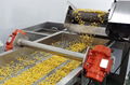 Industrial Sweet Corn Thresher Peeling Blanching Washing Dewatering Drying Produ