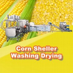 ML-3000 Large Capacity Automatic Sweet Corn Threshing Cutting Machines Line