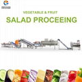 Salad production line specially designed for the needs of small and medium capacity