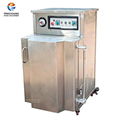 DZ-650L  Large bag vacuum inflatable packing machine