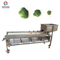 Belt type Sorting machine