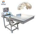 GD-413 Mushroom slicer 1