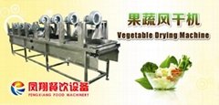 DM-50 Vegetable Drying Machine