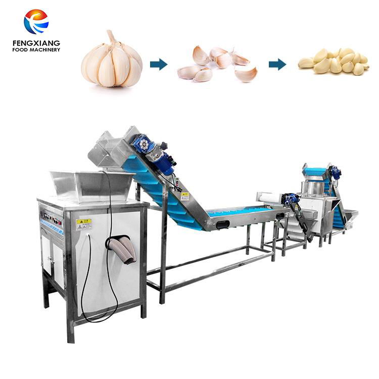 Garlic Separating-peeling Line