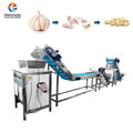 Garlic Separating-peeling Line 1