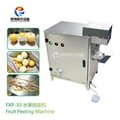 FXP-33 fruit peeling machine