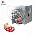 FXP-22  Apple peeling and coring machine 1