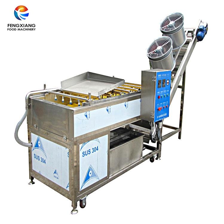 HP-220 Fruit washing and drying machine 2