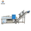 HP-220 Fruit washing and drying machine