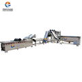 Disinfect wash air dry drying  processing line