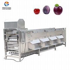 Vegetable Fruit Grading Machine