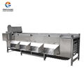 Vegetable Fruit Grading Machine