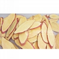 FC-336 Rhizome slicer 4