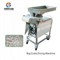 FC-613 Rhizome cutting machine