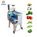 FC-305 Single head double variable frequency vegetable cutter 2