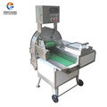 FC-306 Large vegetable cutting machine