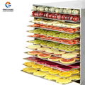 Vegetable and Fruit Drying Machine 2