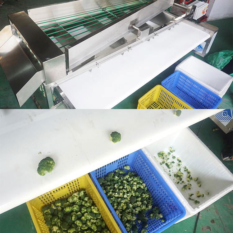 OG-303 Hemp frower Sorting Machine 3