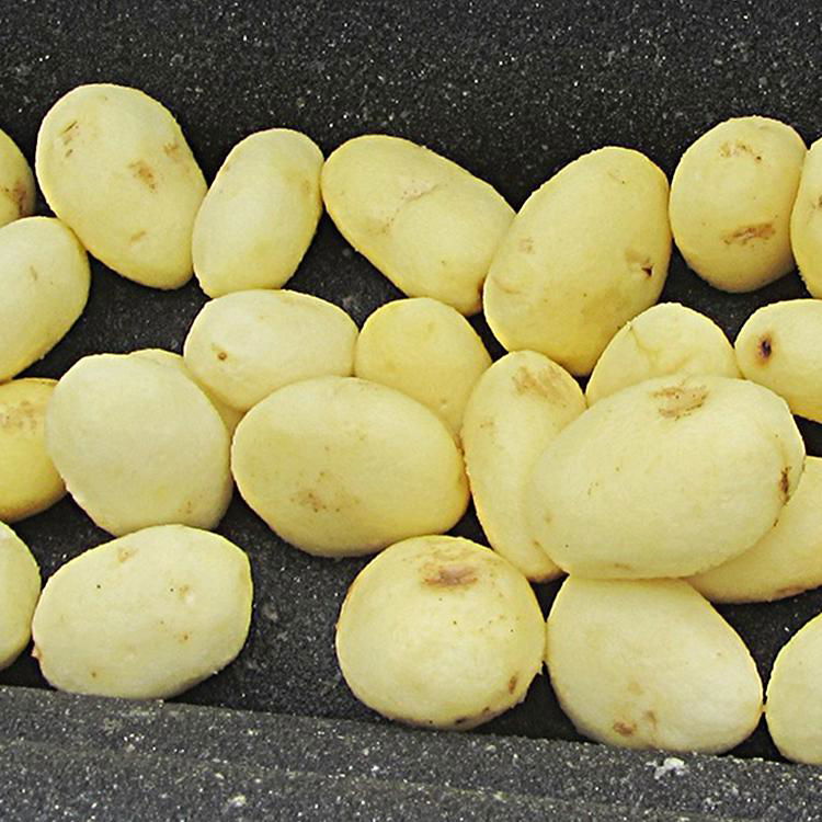 QXPG-2000 Potato Peeling 3