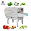 Fengxiang TS-170 Multifunction Vegetable Cutting Machine Slicing Machine Slicer (Hot Product - 1*)