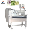 Fruit And Vegetable Cutting Machine