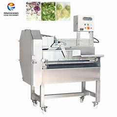 Fruit And Vegetable Cutting Machine Cabbage Shredder Green Onion Cutter