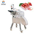 CD-800 Vegetable and Fruit Dicing Machine 1