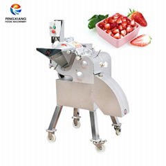 CD-800 Vegetable and Fruit Dicing Machine