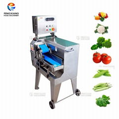 FC-305D industry Potato Crisps cutting Machine 