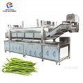 PT-2000 Vegetable Potato Chips Blanching Machine 1