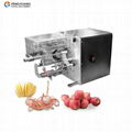 FXP-88Apple Skin Peeling Coring Apple