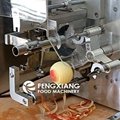 FXP-88Apple Skin Peeling Coring Apple Ring Slicing Cutting Machine 2
