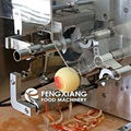 FXP-88Apple Skin Peeling Coring Apple Ring Slicing Cutting Machine