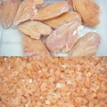 FX-550 Frozen meat dicing machine 3