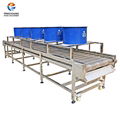 DM-30 Vegetable Drying Machine 1