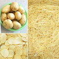  Best Root Vegetable Shredding Machine,Potato Slicing Machine Price