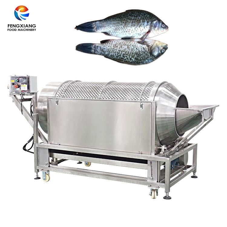 Automatic Rotating Small Fish Scale Removal Machine