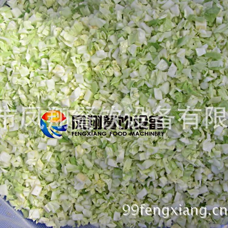 高丽菜切丁清洗生产线 3