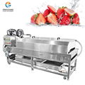 Fruit Washing Sterilizing Drying Machine