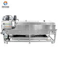 Fruit Washing Sterilizing Drying Machine 2