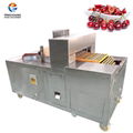 Commercial Automatic Cherry Pitting Machine Fruit Destoning Machine 1