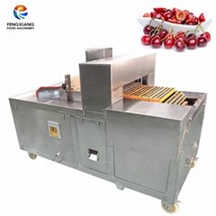 Commercial Automatic Cherry Pitting Machine Fruit Destoning Machine