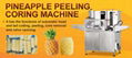 Automatic Pineapple Peeling And Core Cutting Machine