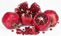 Pomegranate juice solution for saudi arabia customer