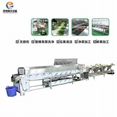 Vegetable cleaning line