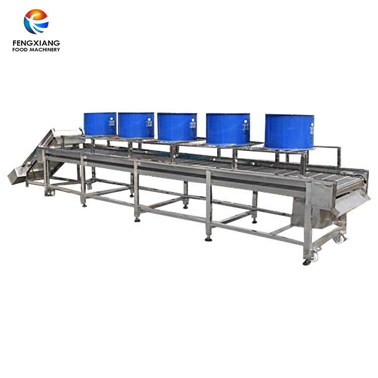 Vegetable Washing & Peeling & Drying Line 3