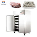 -90℃ Blast freezer