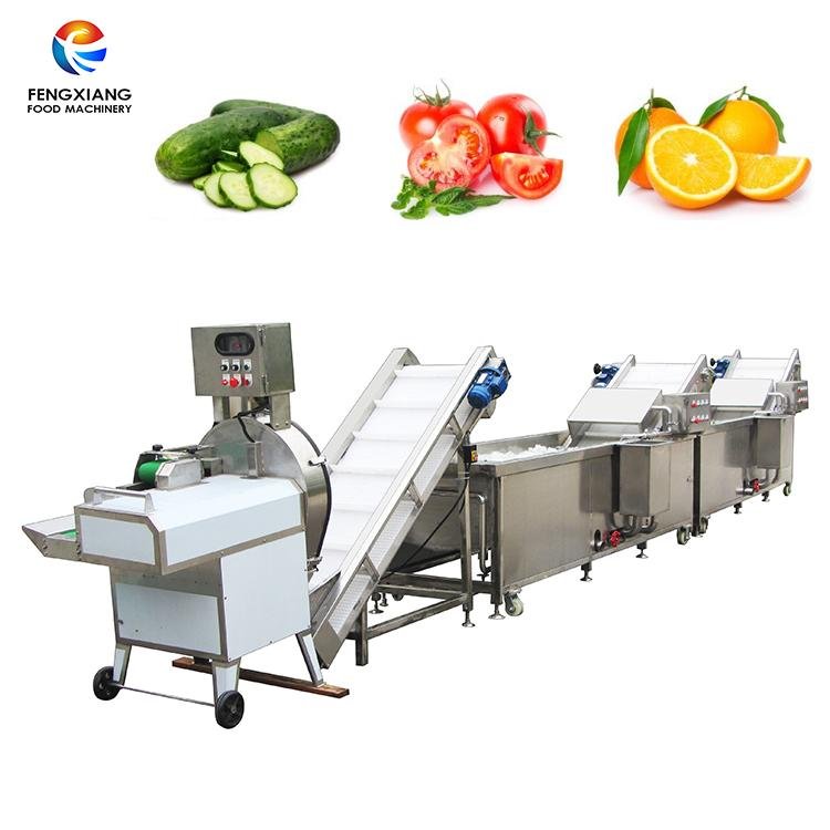 Fruit and Vegetable Cutting Machine Manufacturers