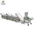 CWA-2000 Fruit and vegetable production line